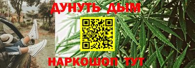 сатива Коммунар