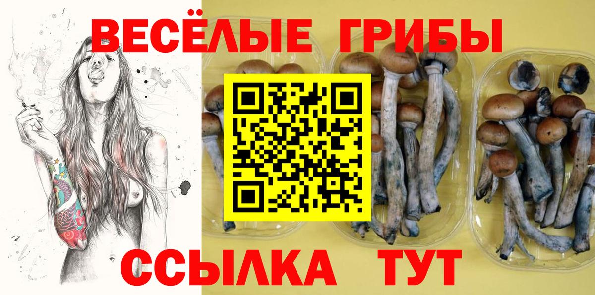 Галлюциногенные грибы Psilocybe  Вход с VPN  где найти наркотики  Галлюциногенные грибы MAGIC MUSHROOMS  Железноводск 